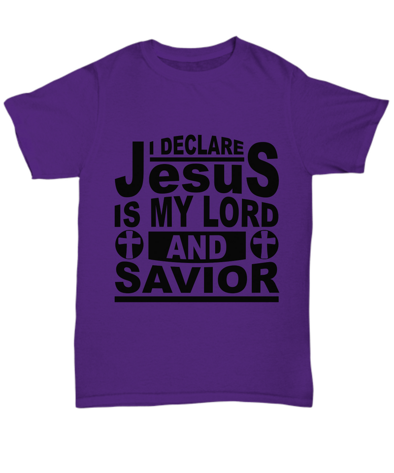 Christian Apparel: I Declare Jesus is My Lord and Savior Tee